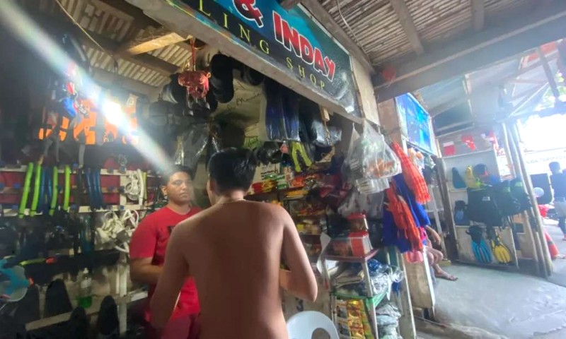 Bơi cùng triệu cá mòi biển Panagsama.