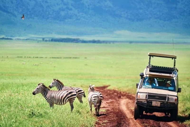 Safari Bình Thuận: Hoà mình thiên nhiên hoang sơ.