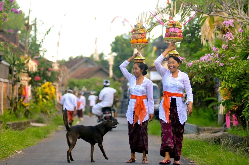 Bali cho người mới: Hướng dẫn du lịch hoàn hảo