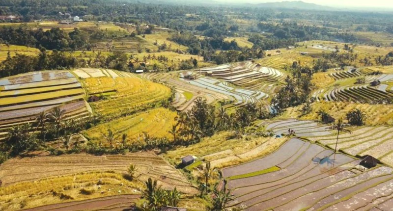 13 Điểm Check-in Đẹp Nhất Ubud