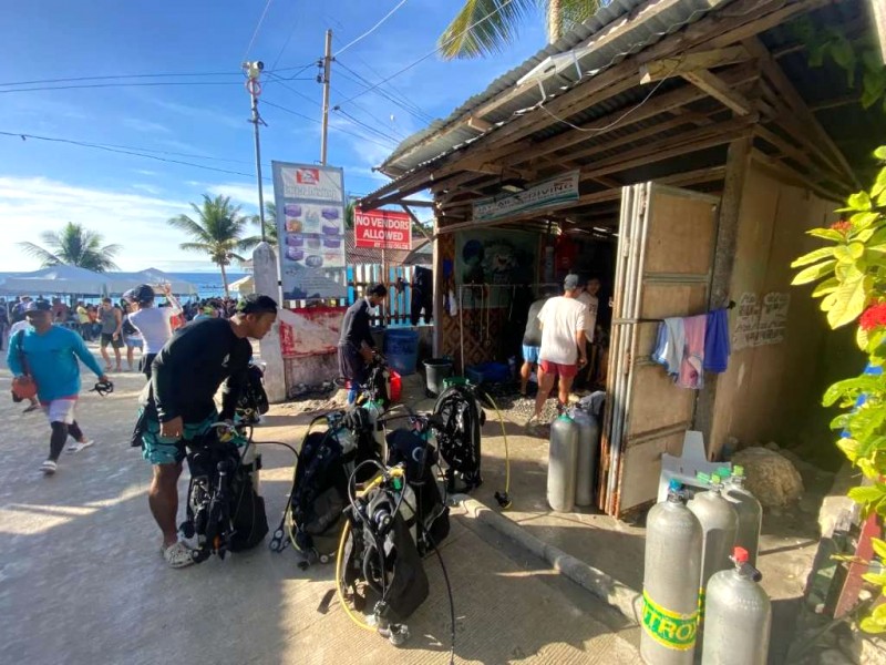 Ngắm cá voi nhám khổng lồ ở Oslob, Cebu.