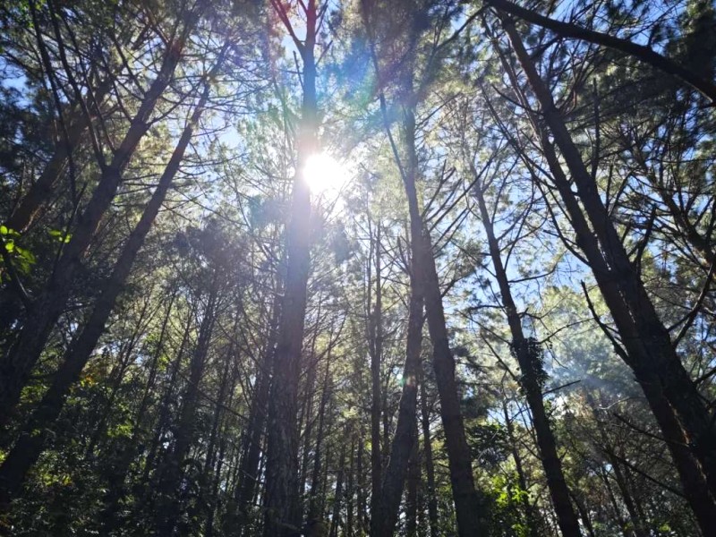 Trekking Brah Yang: Núi thiêng, đời sống người Kho (Di Linh)