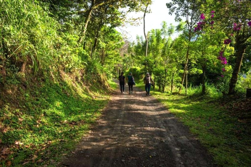 Safari Bình Thuận: Hòa mình thiên nhiên hoang sơ.