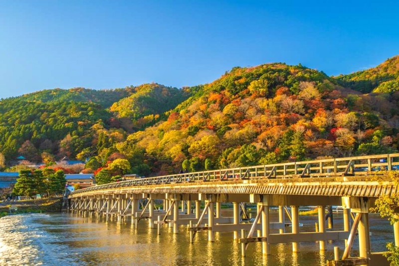 Kansai Airport to Kyoto: Transportation Guide (2024)