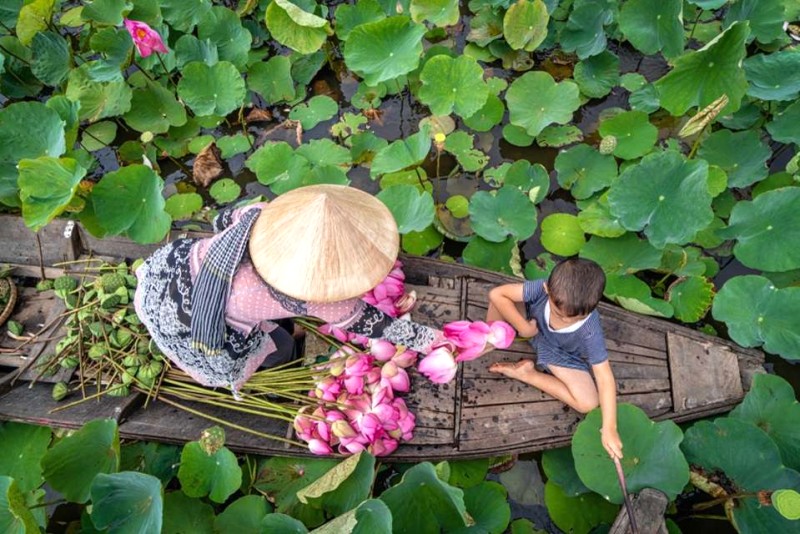 Vinasun: Đánh giá giá cước, dịch vụ, hotline.