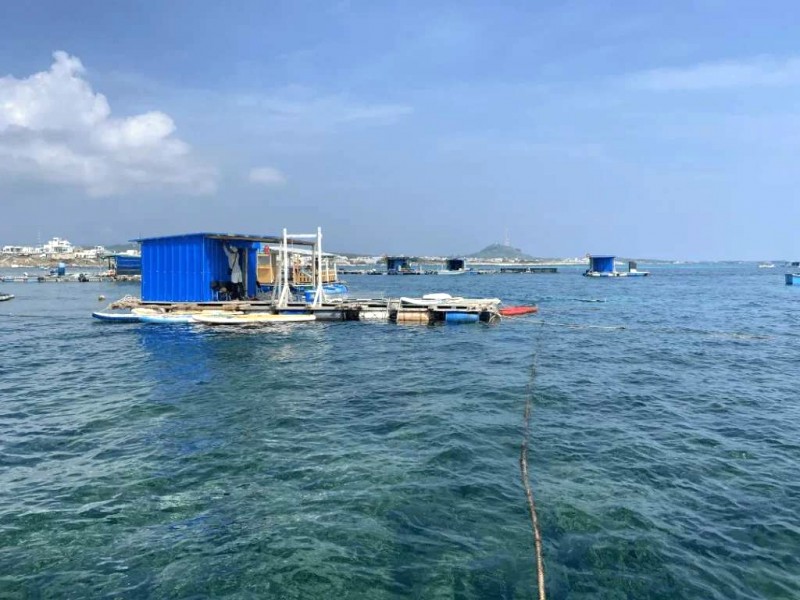 Lặn tự do tại Phú Quý
