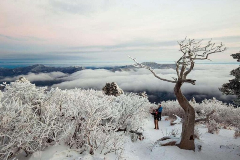 Hàn Quốc tháng 12: Đông trắng xóa! ❄️🇰🇷