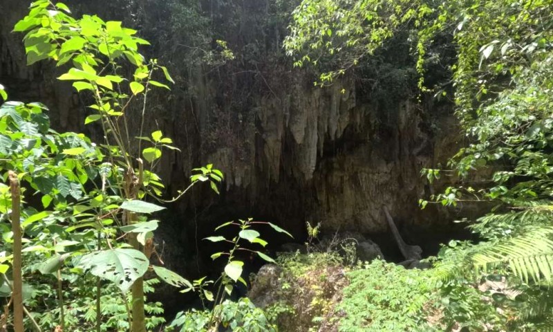 Phiêu lưu thác Kawasan Philippines!