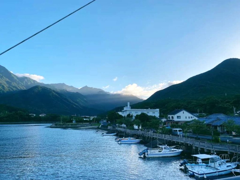 Khám phá vẻ đẹp hoang sơ Yakushima qua hiking.