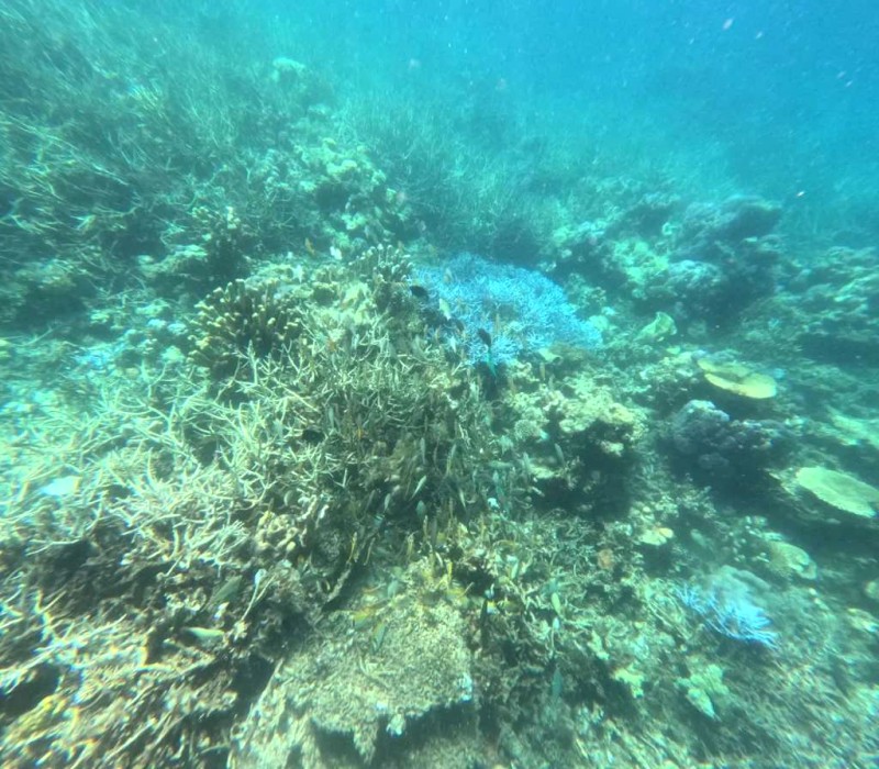 Khám phá đảo Coron: Tour triệu người mê!