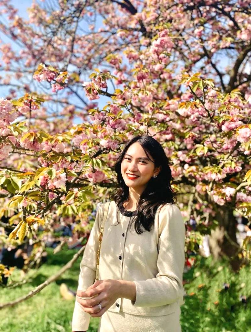 Hành trình ngắm hoa anh đào khắp nước Đức.