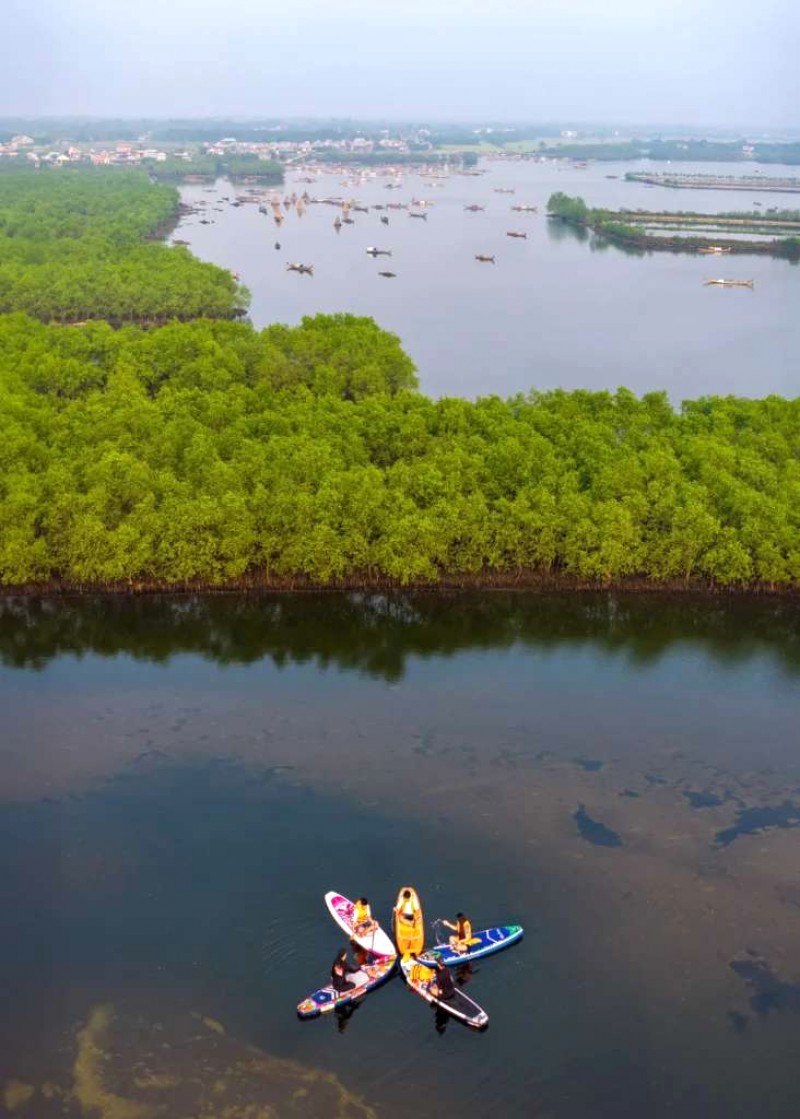 Chèo sup ngắm bình minh Quảng Lợi 🌅