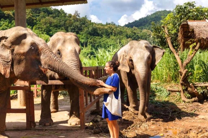 Thái Lan tháng 11: Cẩm nang du lịch tự túc