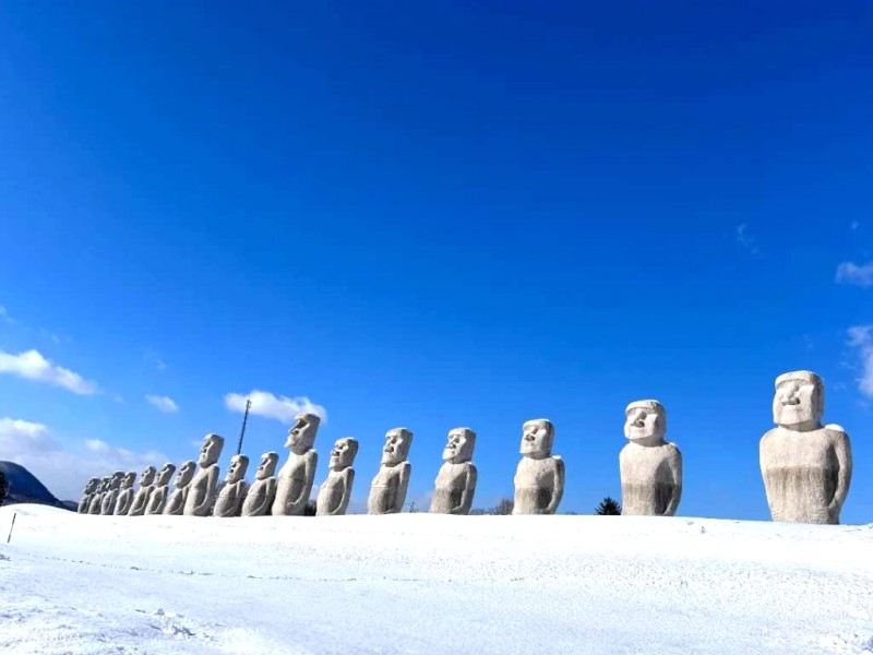 Khám phá Sapporo: Những điểm đến không thể bỏ qua!