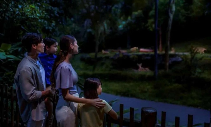 Kỳ bí, hấp dẫn: Night Safari Singapore!