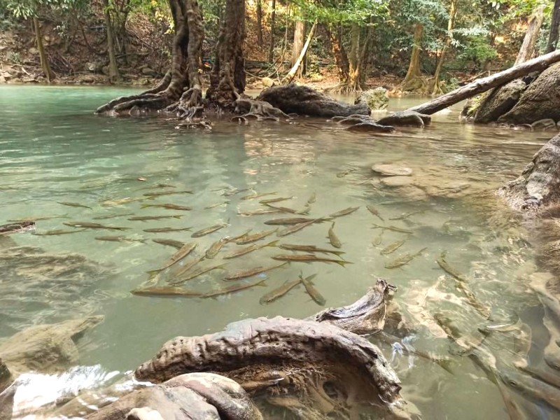 Khám phá thác Erawan, tuyệt tác thiên nhiên Thái Lan.