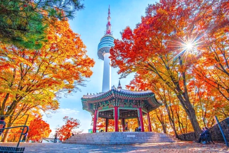 Thu vàng Hàn Quốc tháng 11: Chuyến du lịch lãng mạn!