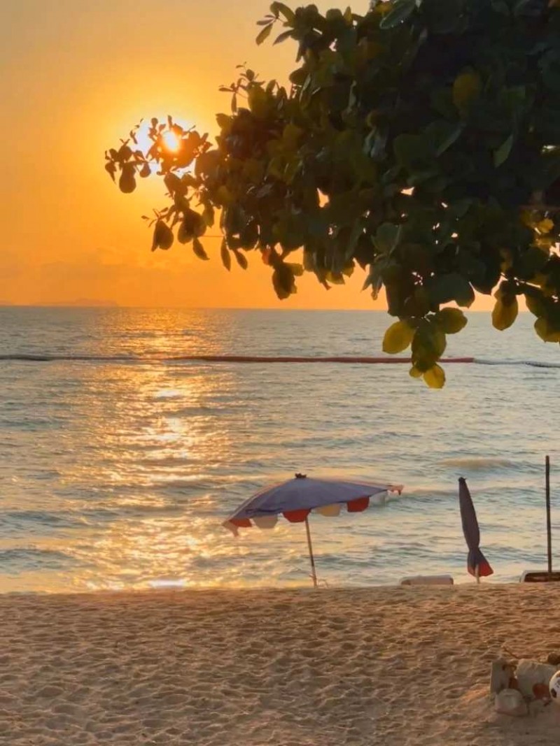 Pattaya tự túc: Khám phá đảo Koh Larn 🏝️