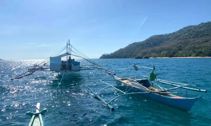 Tìm chú Dugong dễ thương ở Coron, Philippines!