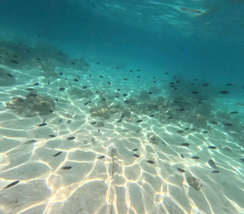 Khám phá đảo Coron: Tour triệu người mê!