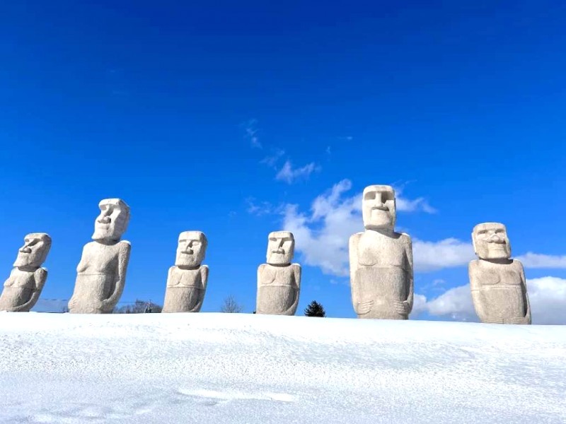 Khám phá Sapporo: Những điểm đến tuyệt đẹp!