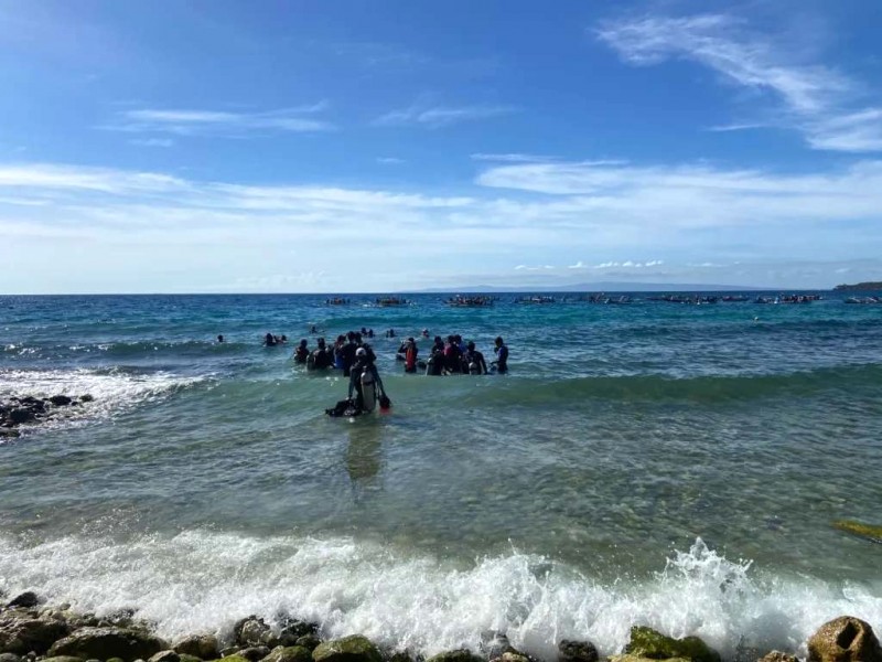 Ngắm cá voi khổng lồ ở Oslob, Cebu.