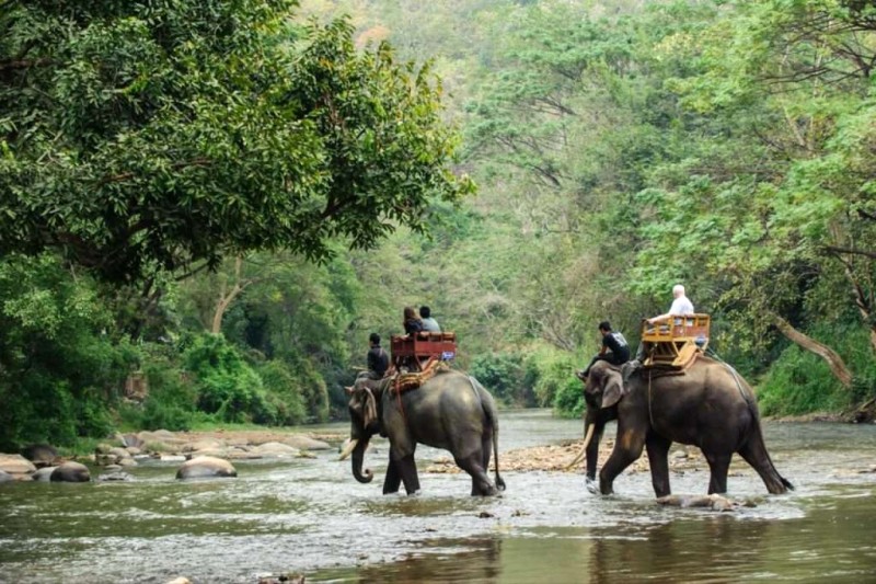 Thái Lan tháng 2: Gợi ý du lịch cho dân xê dịch