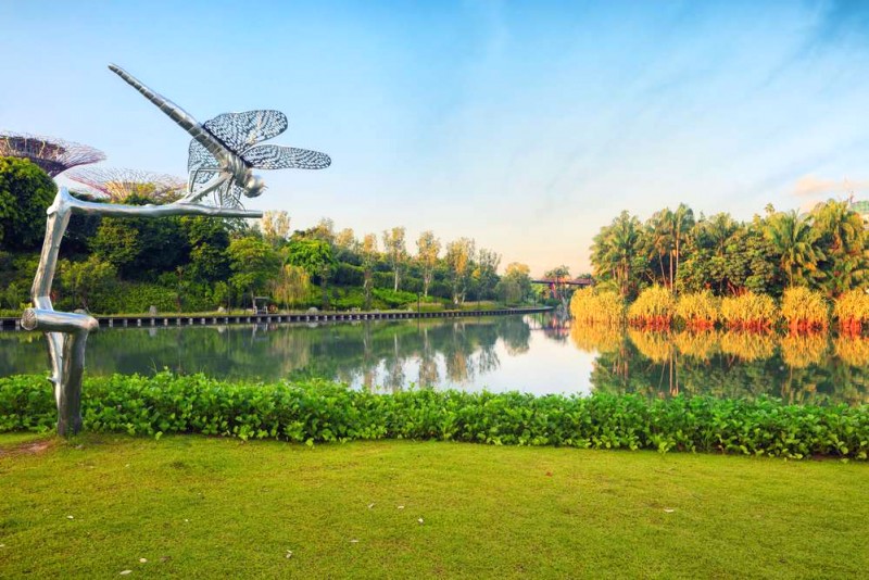 Biểu diễn ánh sáng Gardens by the Bay: Kỳ diệu ánh sáng và âm nhạc.