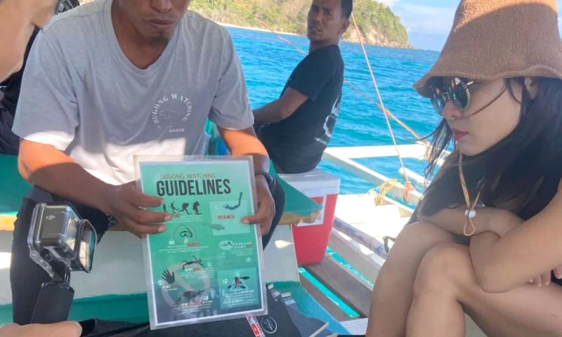 Tìm Dugong dễ thương ở Coron, Philippines!