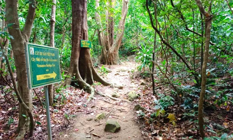 Khám phá Côn Đảo: Bãi Bàng, Bãi Đất Thắm.