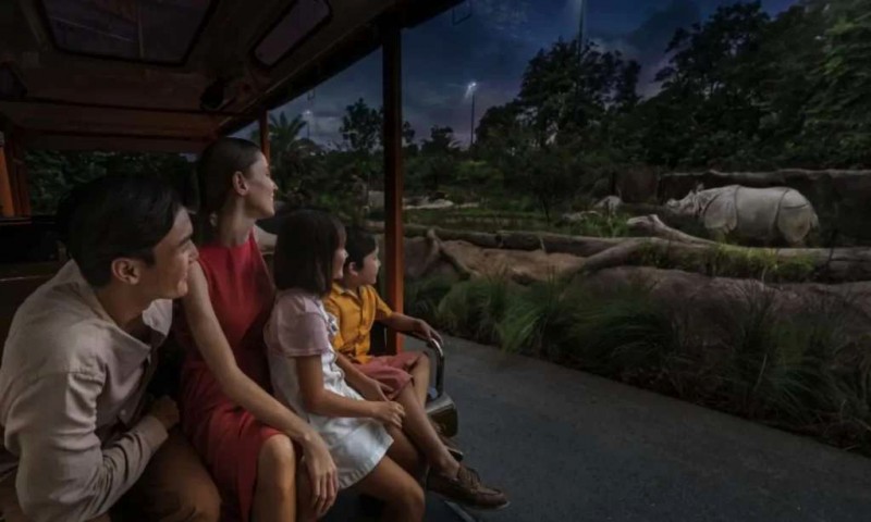 Kỳ quan đêm: Night Safari Singapore!