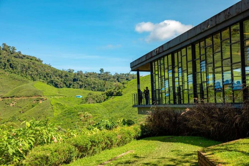 Khám phá 10 khách sạn & resort lý tưởng cho gia đình & cặp đôi tại Cameron Highlands, đắm mình trong khung cảnh xanh mát!