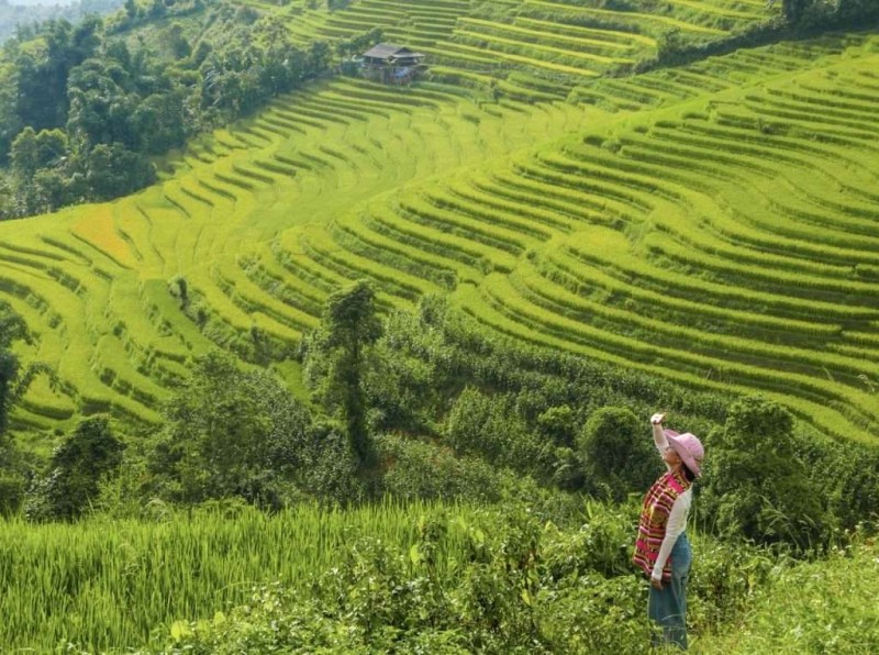 Khám phá Lào Cai: Miền núi Tây Bắc, từ A đến Z.