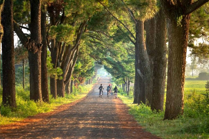 Gia Lai - miền cao nguyên nắng gió, hè này vi vu?