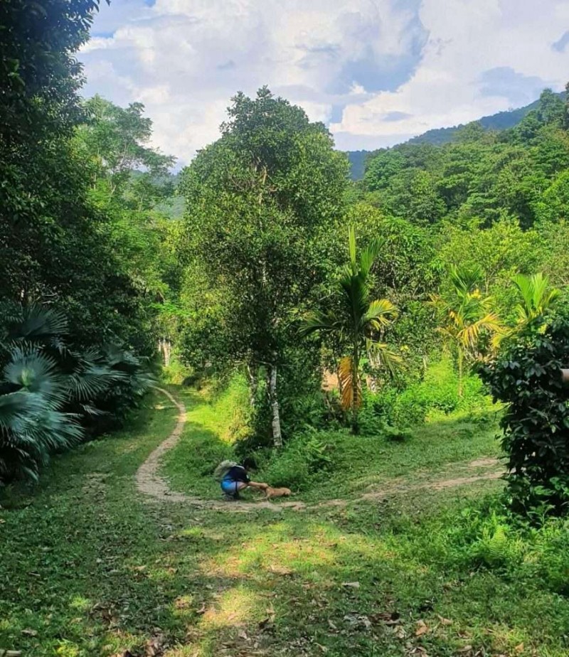 Hà Tĩnh: Miền Trung, lịch sử & văn hóa.