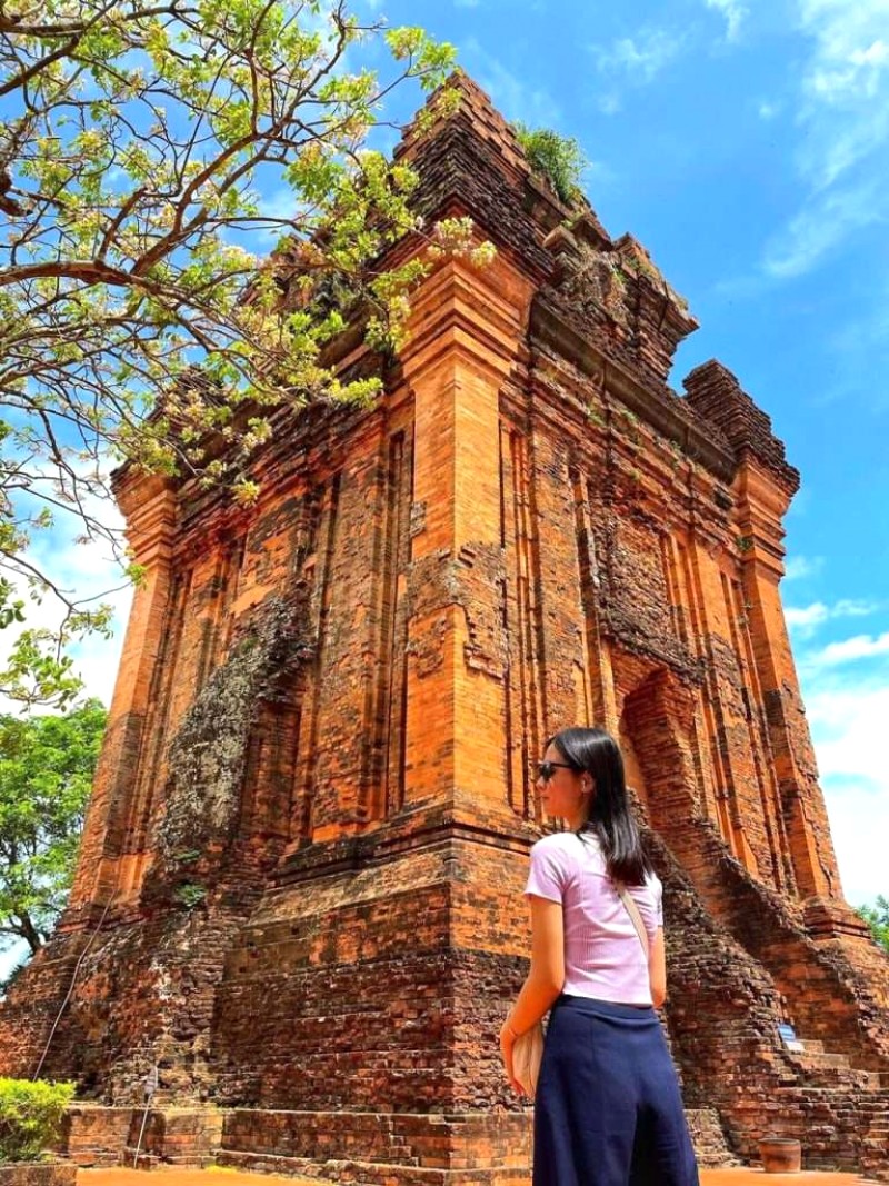 Phú Yên: Miền Trung, hoa vàng cỏ xanh.