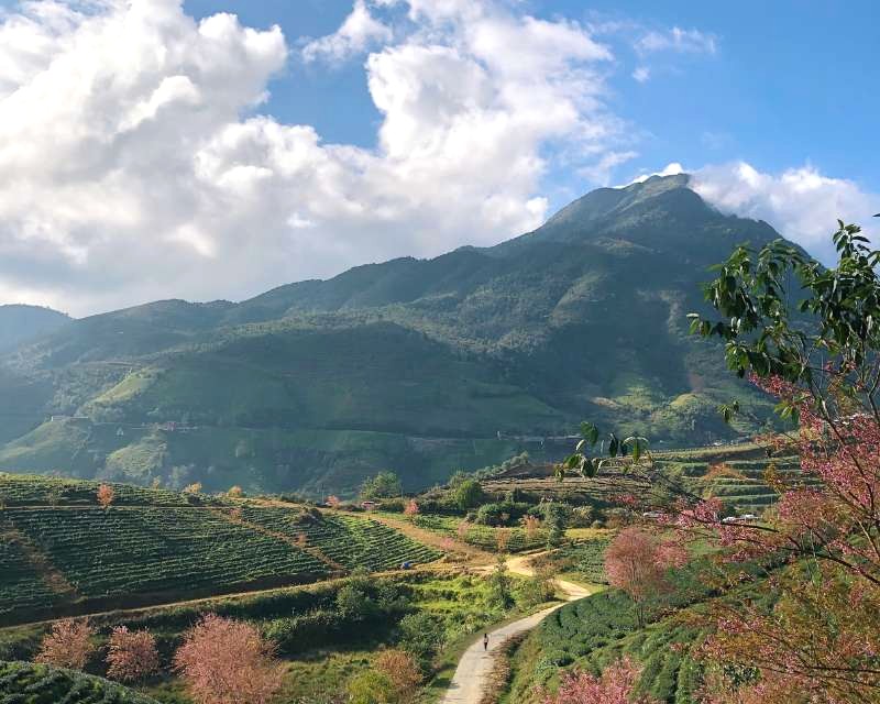 Sinh tháng 12, bạn là cung Nhân Mã. Khám phá Đà Lạt thơ mộng!