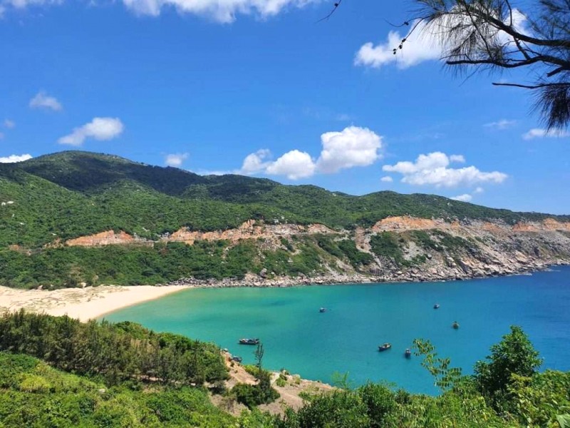 Phú Yên: Miền Trung, hoa vàng cỏ xanh.